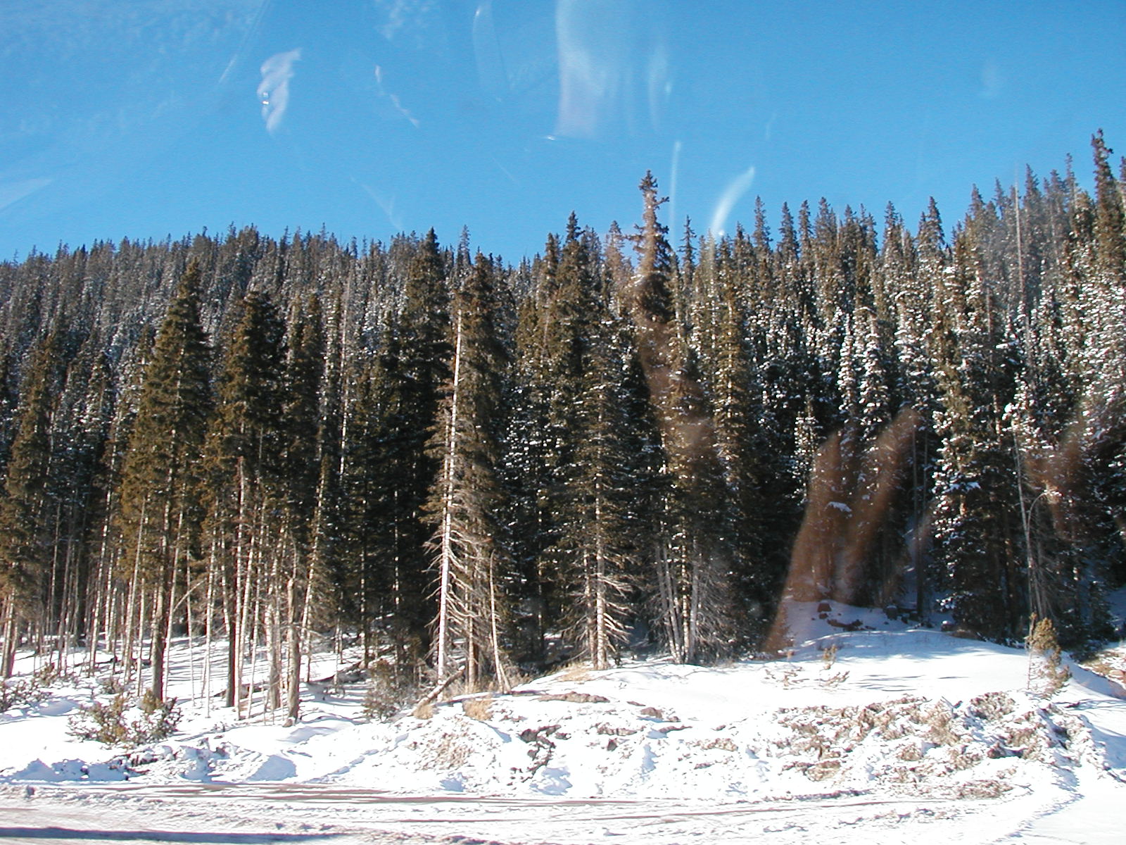 PC220010.JPG