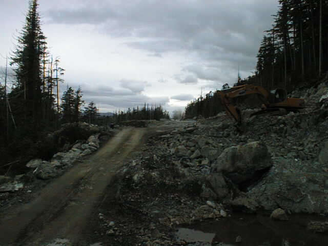 PIC00004.JPG