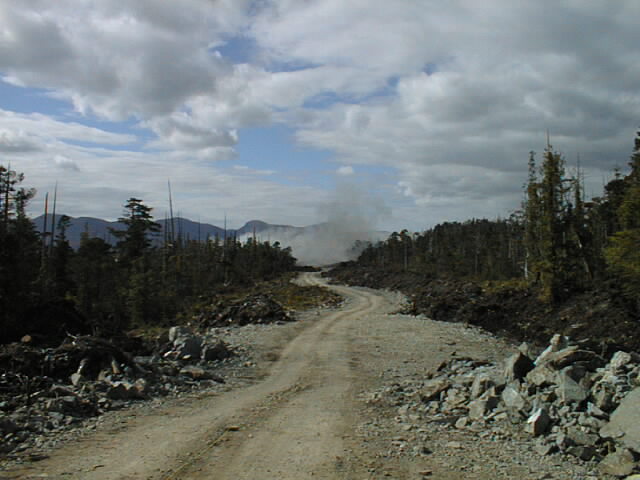 PIC00006.JPG