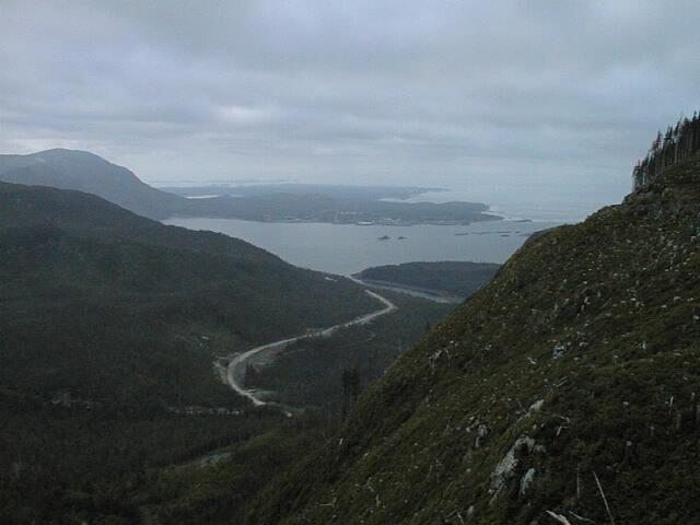 PIC00010.JPG