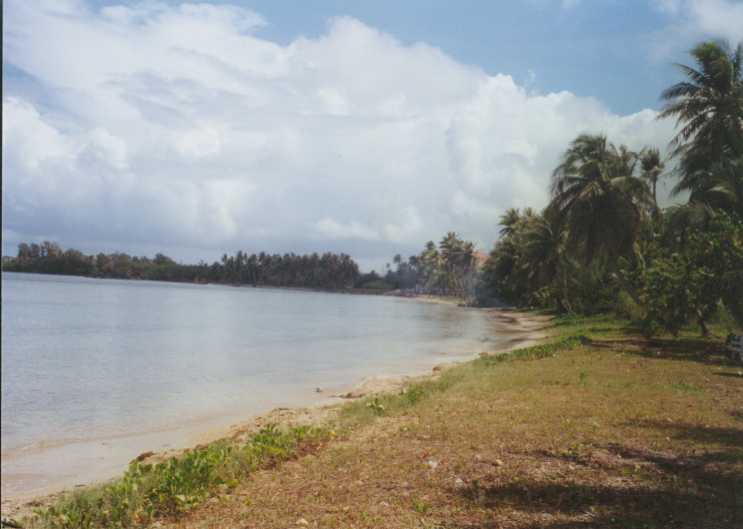 THE COAST.JPG