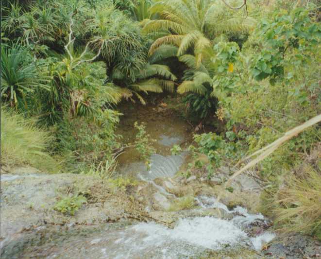 WATER FALL.JPG