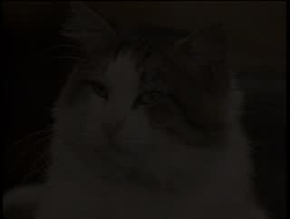 Ep 6.mp4
