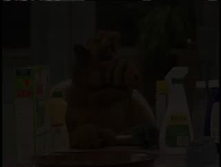 Ep 22.mp4