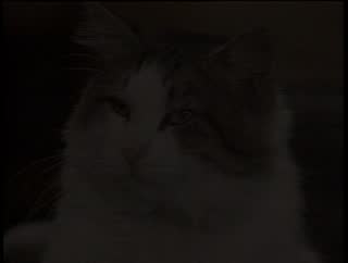 Ep 6.mp4