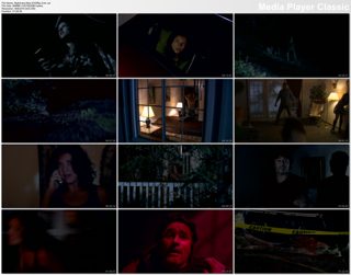 Nightmare.Man.DVDRip.Xvid.{SeCtIoN_8}.thumbnails.bmp