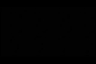 Indiana Jones Raiders of the Lost Ark.mp4
