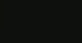 Swordfish.mp4