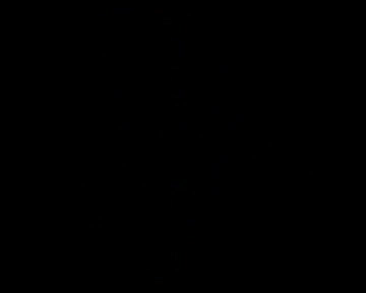 American Pie The Naked Mile.mp4