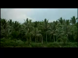 Apocolypse Now.mp4