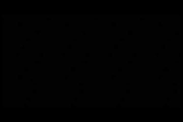 Indiana Jones Raiders of the Lost Ark.mp4