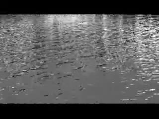 KillBill2.mp4