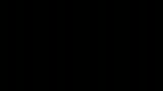 MAN_OF_HONOR.mp4