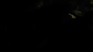 The Horseman 2009 DVDRip XviD-ExTrAScEnE.mp4