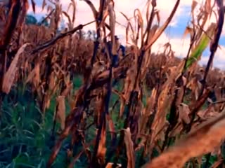 Alan Jackson - Little Bitty (Official Music Video).mp4