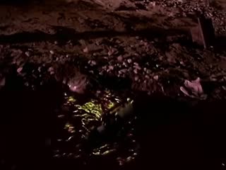Alice In Chains - Them Bones (Official HD Video).mp4