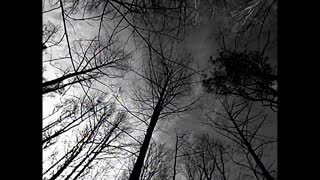 Collective Soul - Shine (Official HD Music Video).mp4