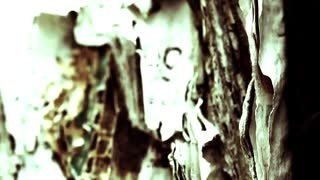 Corb Lund - Gettin' Down on the Mountain (Online Exclusive).mp4