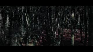 FAUN - Hymn to Pan (Video by SamsaraWear).mp4