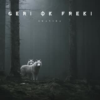 Geri ok Freki.mp4