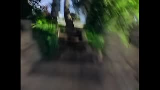 Gin Blossoms - Hey Jealousy (Official Music Video).mp4