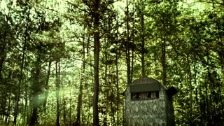 Kid Rock - Redneck Paradise feat. Hank Williams Jr. [Remix] [Official Music Video].mp4