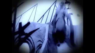 Rob Zombie - Living Dead Girl.mp4