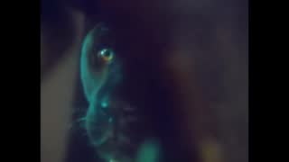 Scorpions - Rock You Like A Hurricane (Official Music Video).mp4