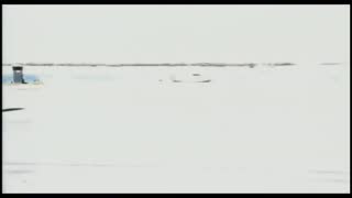 Spiderbait - Black Betty (Official Video).mp4