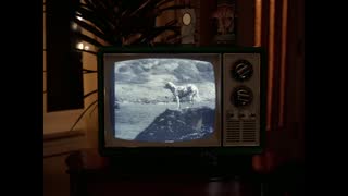 Sublime - Waiting For My Ruca (Official Music Video).mp4
