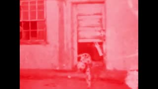 Sublime - What I Got (Official Music Video).mp4