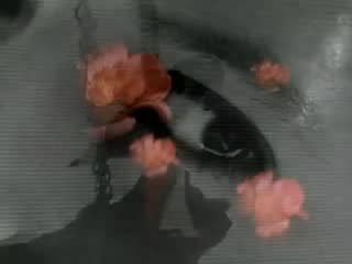 The Bangles - Manic Monday (Official Video).mp4
