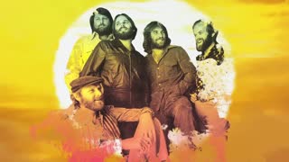 The Beach Boys - Fun, Fun, Fun (Visualizer).mp4