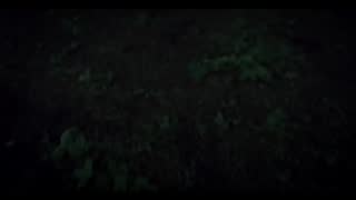 Wardruna - Raido (Official music video).mp4