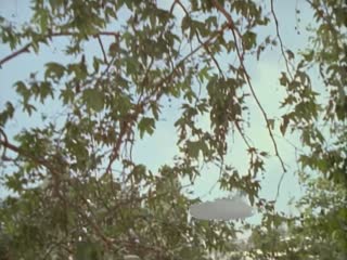 _Weird Al_ Yankovic - Gump (HD Version).mp4