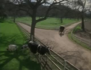 _Weird_ Al Yankovic - Amish Paradise (Parody of _Gangsta's Paradise_ - Official Video).mp4