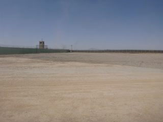P1000375.JPG