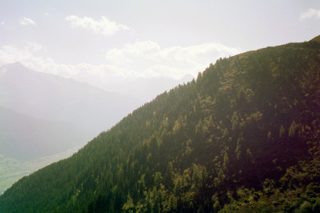 030_07a.jpg