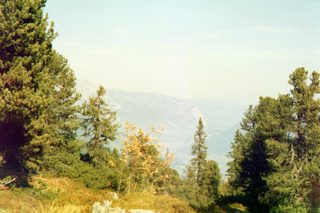 033_04a.jpg