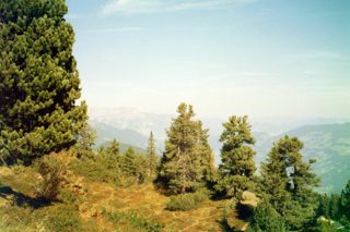 034_03a.jpg