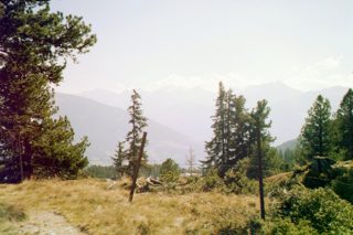 036_01a.jpg
