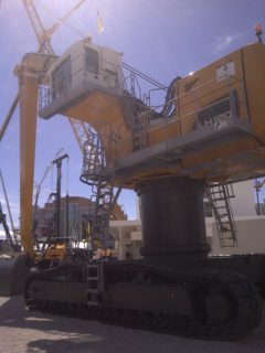 IMG-20110322-00042.jpg
