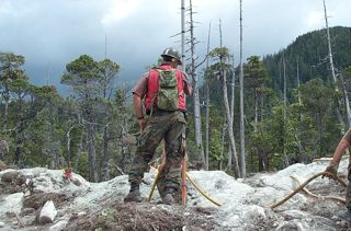 03  July - 13+3 - 2.JPG