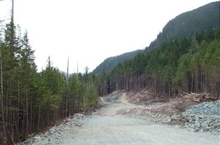 19 June - 12+1 - 11.JPG