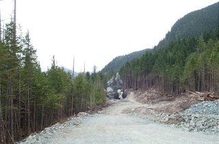 19 June - 12+1 - 12.JPG