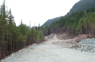 19 June - 12+1 - 3.JPG