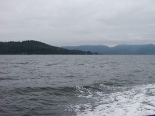 P1010002.JPG