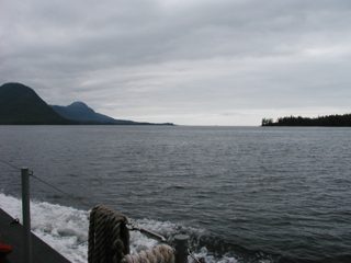 P1010011.JPG