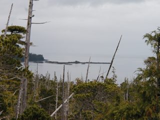 P1010022.JPG