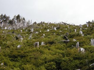 P1010032.JPG